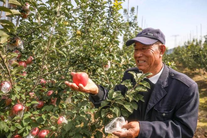 徐州这家医院即将大改造！(图7)