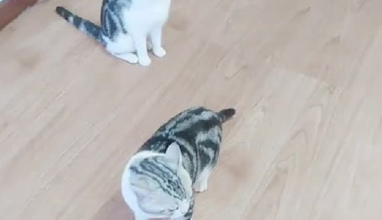 北京阿尔兹海默症失能失智老人口碑知名专业机构哪家好？普乐时光（认知症）养老中心等分级适配适老环境本地适配【2025 年最新】(图1)