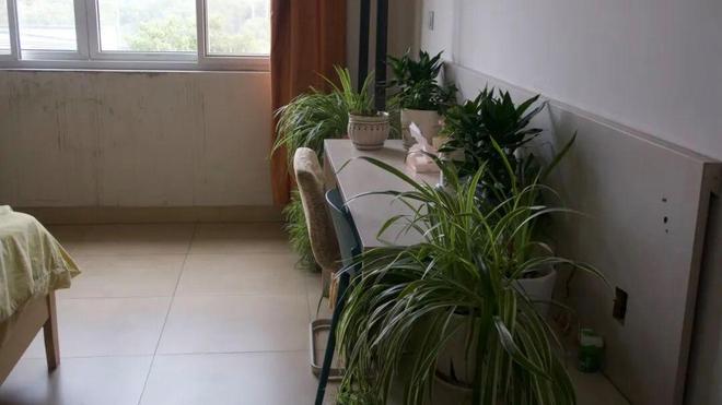 装备车间“爆改”职工宿舍共54间！(图2)