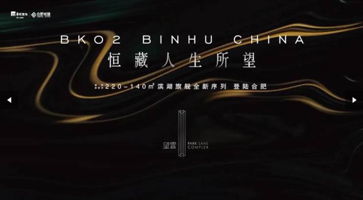 合肥望雲官方网站发布：火爆热销中!(图3)