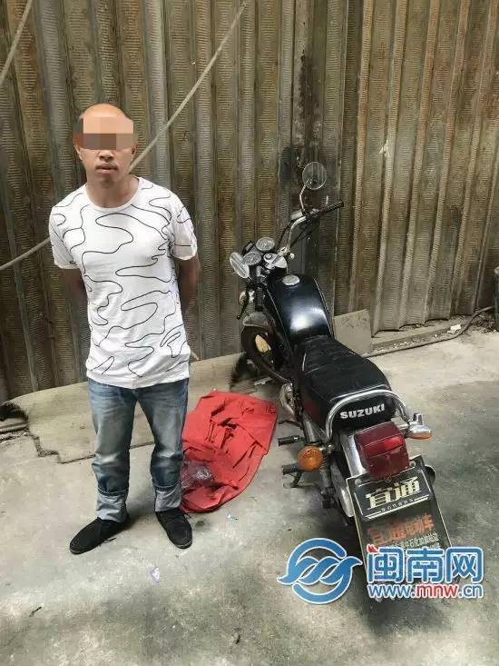 泉州：一条蛇从天而降吓坏八旬阿婆；泉州男子半夜骑车撞石头飞入河沟；南安：弟弟跟着哥哥去盗窃结果…(图3)