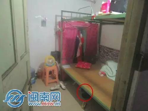 泉州：一条蛇从天而降吓坏八旬阿婆；泉州男子半夜骑车撞石头飞入河沟；南安：弟弟跟着哥哥去盗窃结果…(图9)