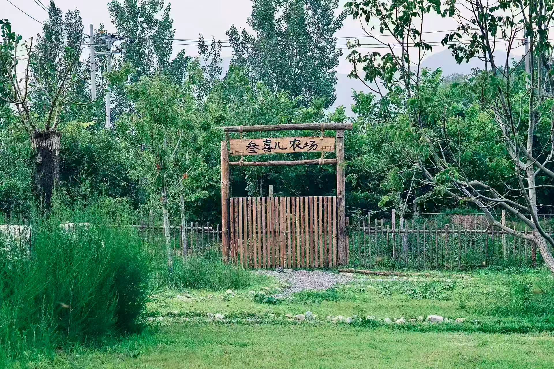 2026年4月更新：天津团建活动客栈深度与选型指南(图1)