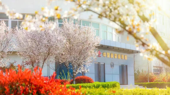@宁夏高考生！志愿填报即将开始代码6195西安海棠职业学院期待与你相遇！(图13)
